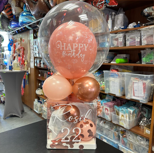 Ballonbox 10